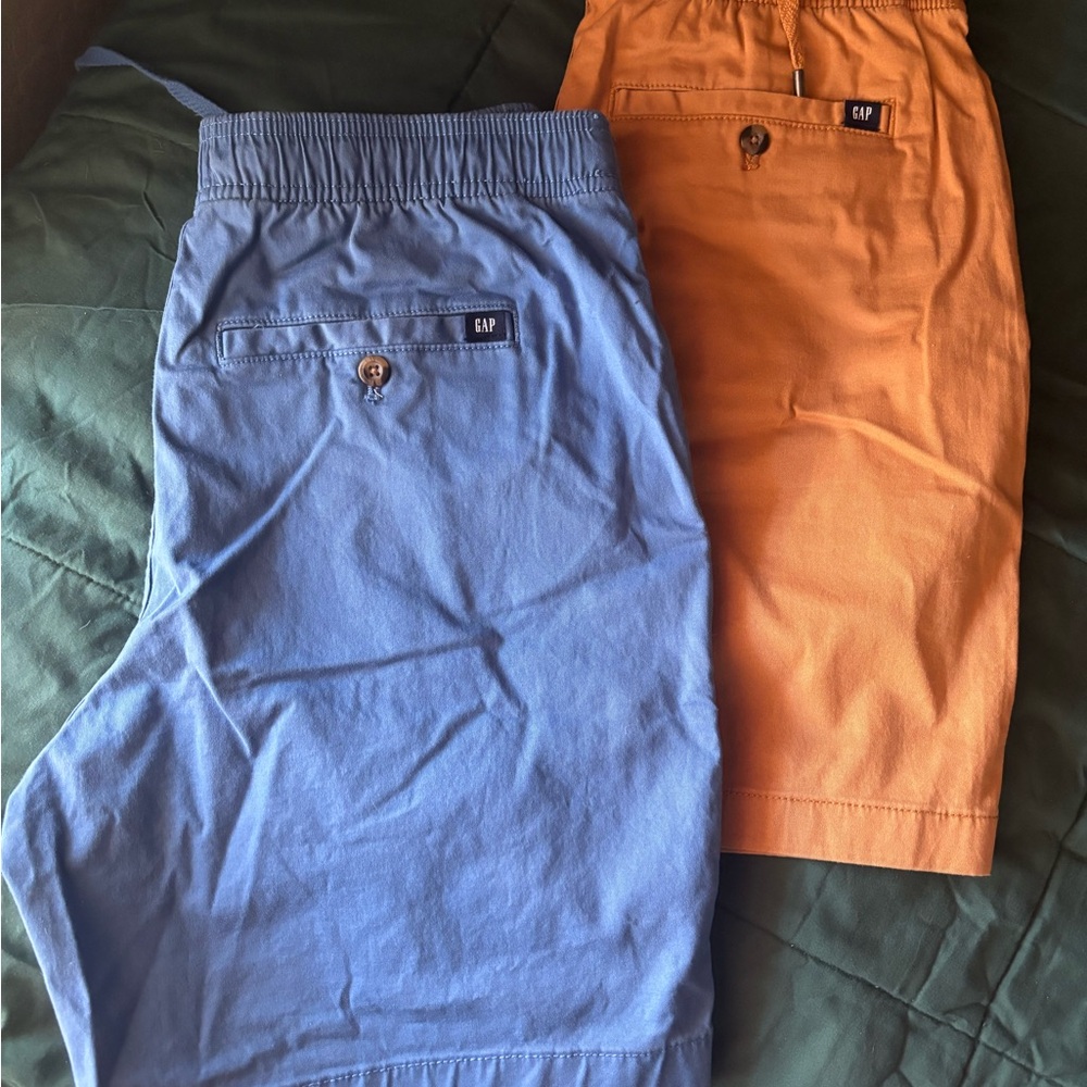 GAP Blue and Orange Flat Front Shorts
